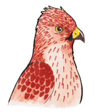 Wonderful birds 2 sticker #5734933