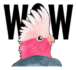 Wonderful birds 2 sticker #5734936