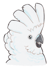 Wonderful birds 2 sticker #5734937