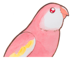 Wonderful birds 2 sticker #5734943