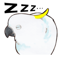 Wonderful birds 2 sticker #5734944