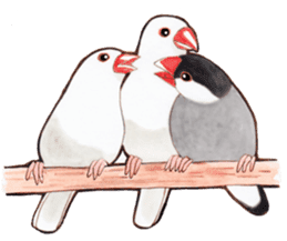 Wonderful birds 2 sticker #5734945