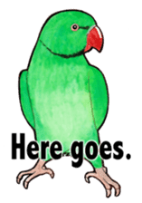 Wonderful birds 2 sticker #5734947