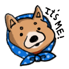 Nana-chan the shiba-inu