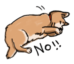 Nana-chan the shiba-inu sticker #5735204