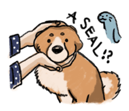 Nana-chan the shiba-inu sticker #5735207