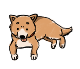 Nana-chan the shiba-inu sticker #5735208