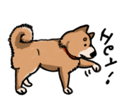 Nana-chan the shiba-inu sticker #5735209