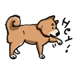 Nana-chan the shiba-inu sticker #5735209