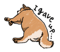 Nana-chan the shiba-inu sticker #5735210