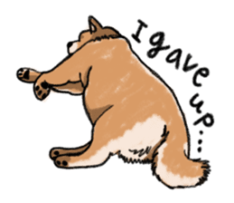 Nana-chan the shiba-inu sticker #5735210