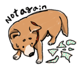 Nana-chan the shiba-inu sticker #5735213