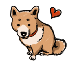Nana-chan the shiba-inu sticker #5735217