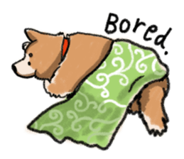 Nana-chan the shiba-inu sticker #5735218