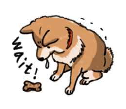 Nana-chan the shiba-inu sticker #5735223