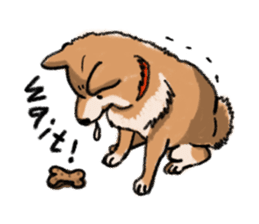 Nana-chan the shiba-inu sticker #5735223