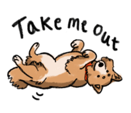 Nana-chan the shiba-inu sticker #5735225