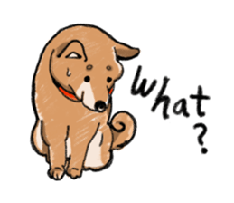 Nana-chan the shiba-inu sticker #5735226