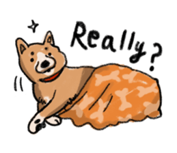 Nana-chan the shiba-inu sticker #5735227
