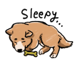 Nana-chan the shiba-inu sticker #5735228