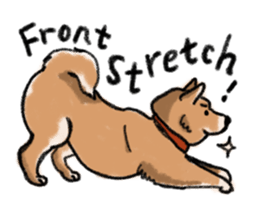 Nana-chan the shiba-inu sticker #5735230