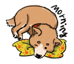 Nana-chan the shiba-inu sticker #5735232