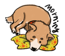 Nana-chan the shiba-inu sticker #5735232