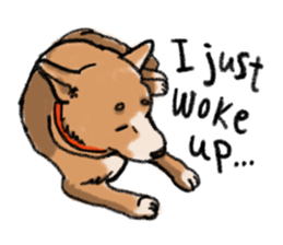 Nana-chan the shiba-inu sticker #5735233