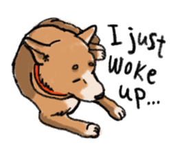 Nana-chan the shiba-inu sticker #5735233