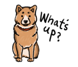 Nana-chan the shiba-inu sticker #5735234