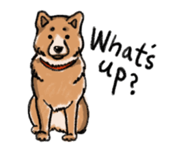 Nana-chan the shiba-inu sticker #5735234