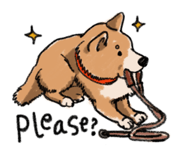 Nana-chan the shiba-inu sticker #5735235