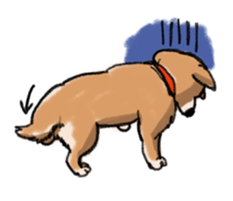 Nana-chan the shiba-inu sticker #5735239