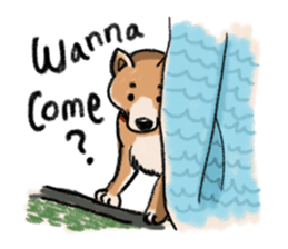 Nana-chan the shiba-inu sticker #5735240