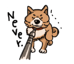 Nana-chan the shiba-inu sticker #5735242