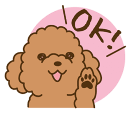 pastel colors toypoodle sticker #5738965