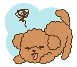 pastel colors toypoodle sticker #5738994