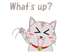 Conversation with cat English sticker #5739047