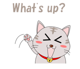 Conversation with cat English sticker #5739047