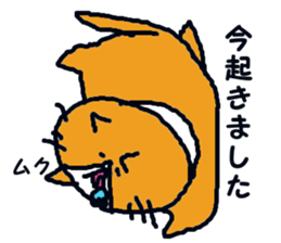 cat taro sticker sticker #5741551