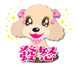 Tsundere Toy poodle Taiwan ver. sticker #5742582