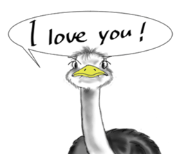 ostrich-Sticker2 sticker #5743084