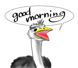 ostrich-Sticker2 sticker #5743085