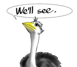 ostrich-Sticker2 sticker #5743087