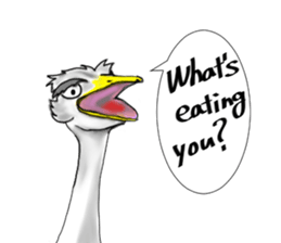 ostrich-Sticker2 sticker #5743090