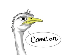 ostrich-Sticker2 sticker #5743092