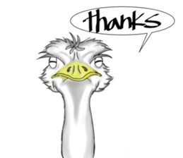ostrich-Sticker2 sticker #5743093