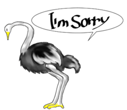 ostrich-Sticker2 sticker #5743096