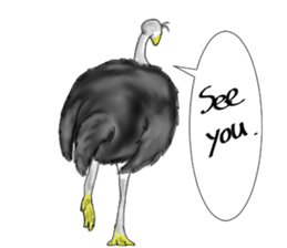 ostrich-Sticker2 sticker #5743097