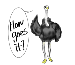 ostrich-Sticker2 sticker #5743098